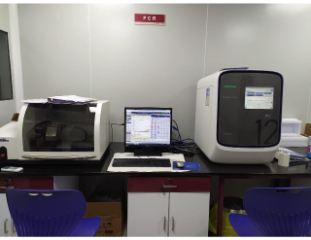 PCR Laboratory Image 9