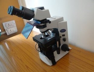 Immunofluorescence Microscope 2